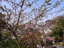 山門